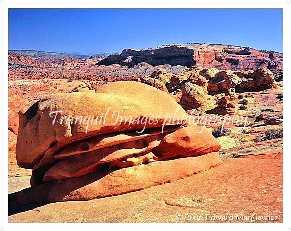 450358B   Hamburger rock and brain rocks, North Coyote Buttes, Arizona 